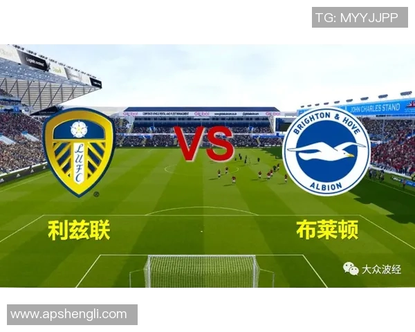 利兹联与布莱顿历史交锋战绩分析及球队发展回顾
