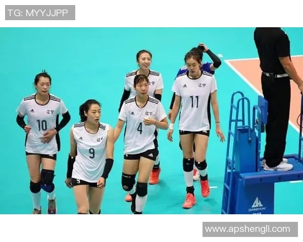 深圳排球队团队协作引发热议球迷对战术配合和默契度的不同看法